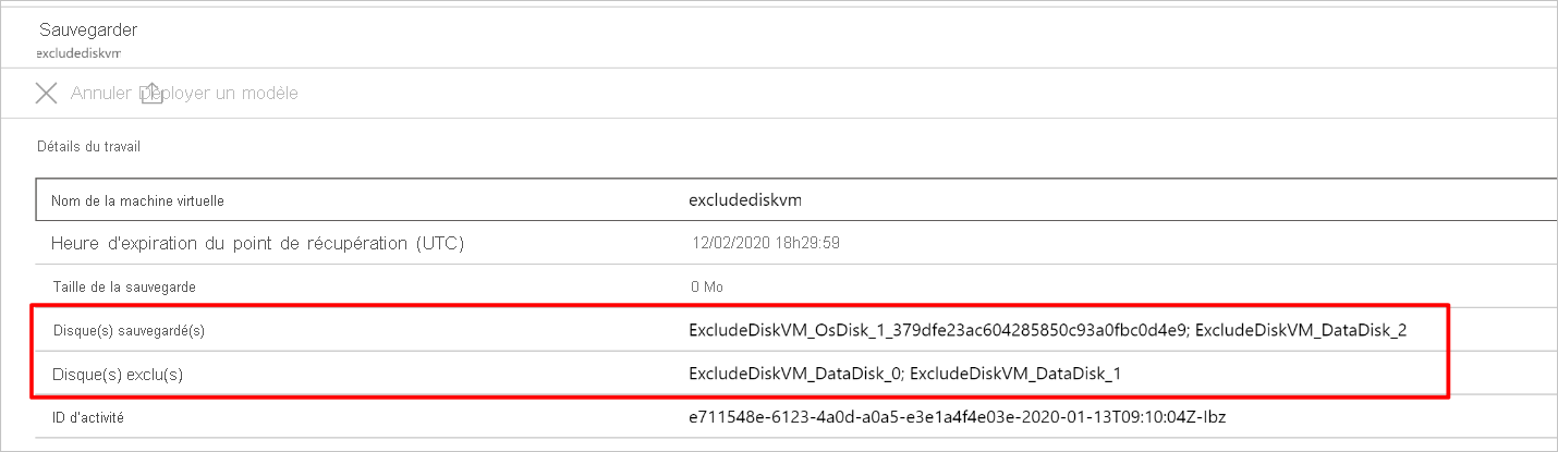 View included and excluded disks from job details pane