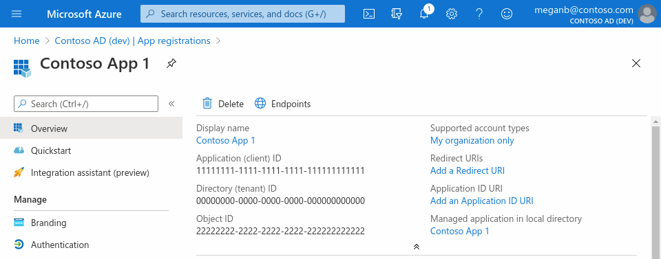 Capture d’écran du portail Azure dans un navigateur web : le volet Vue d’ensemble d’une inscription d’application.