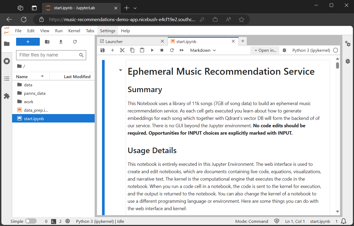 Screenshot of the Jupyter Notebook deployed in the container image.