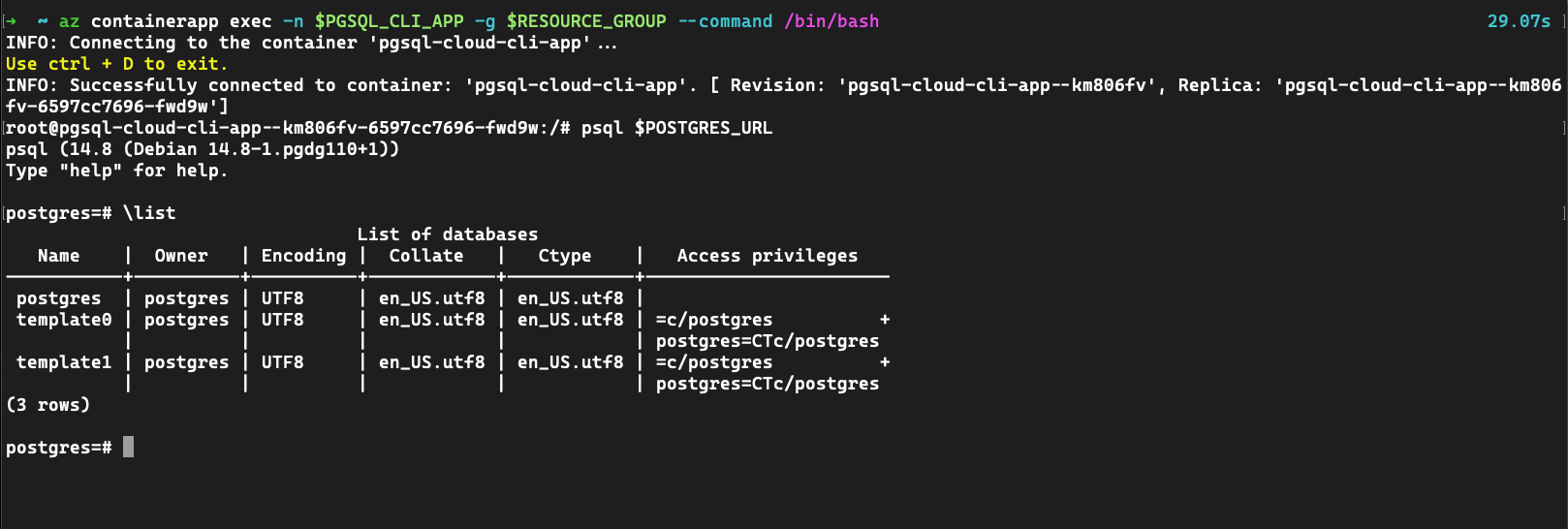 Capture d'écran de l'application de conteneur utilisant pgsql pour se connecter à un service PostgreSQL.