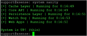 Capture d’écran montrant la commande system sanity.