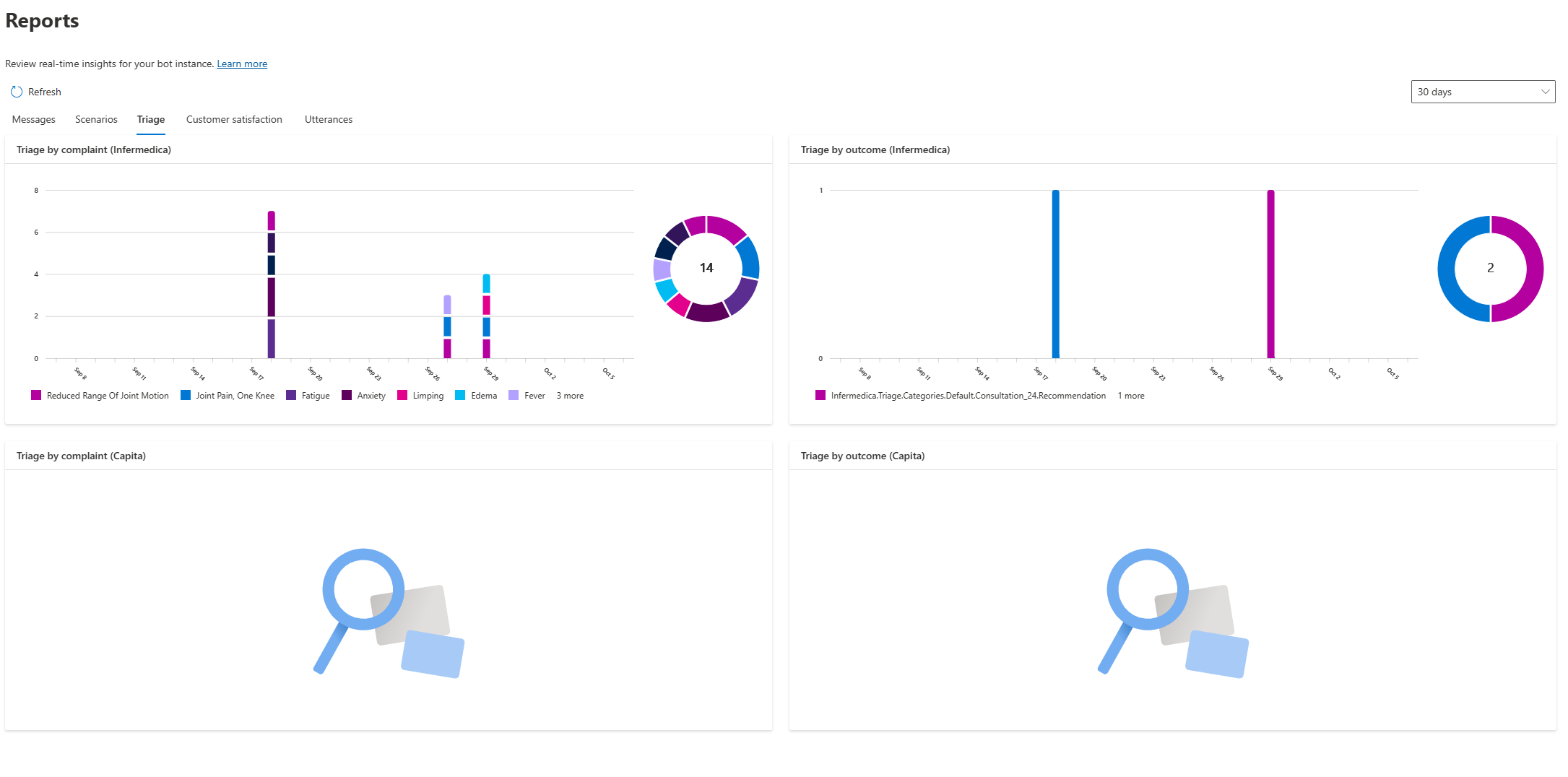 A screenshot Report Overview of the triage