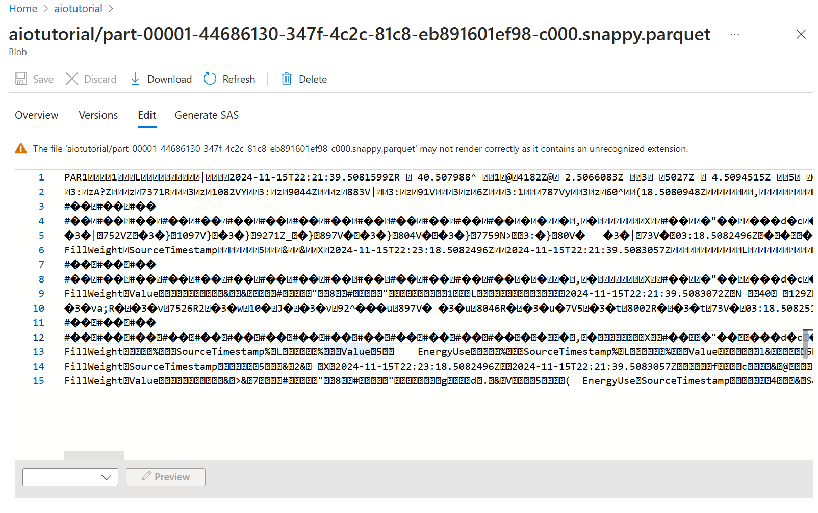 Capture d’écran du portail Azure montrant le fichier Parquet proprement dit.