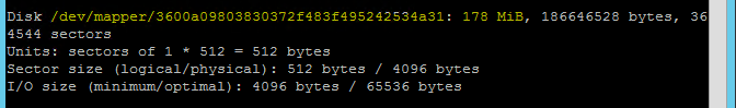 Capture d’écran représentant une fenêtre de console avec les résultats de la commande f disk.