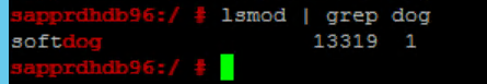 Capture d’écran représentant une fenêtre de console partielle avec le résultat de l’exécution de la commande l s mod.