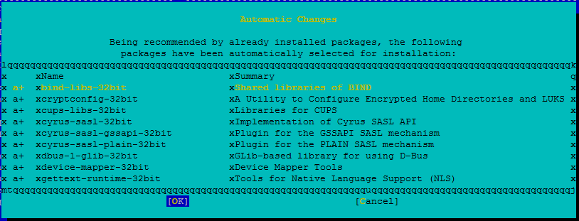 Capture d’écran représentant une fenêtre de console avec une liste des packages sélectionnés pour l’installation.