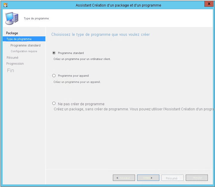 Capture d’écran de l’assistant Création d’un package et d’un programme qui affiche l’option Programme standard.
