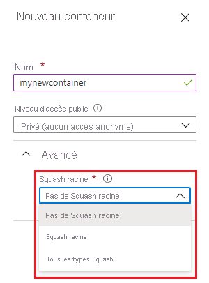 Capture d’écran montrant les options Squash dans le portail Azure.