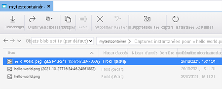 Capture d’écran montrant comment prendre et gérer des instantanés d’objet blob