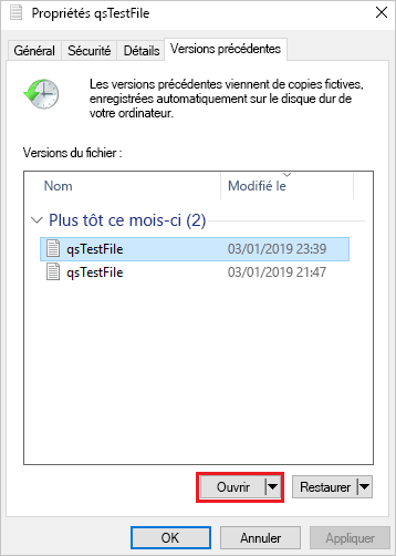 Capture d’écran de l’onglet Versions précédentes.