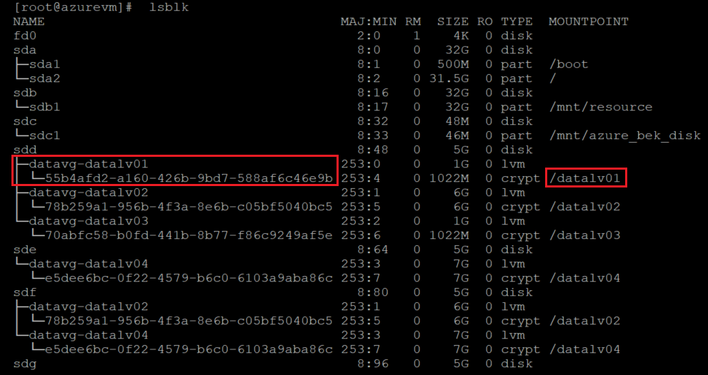 Capture d’écran montrant le code qui identifie le volume local à redimensionner, avec mise en évidence des résultats.