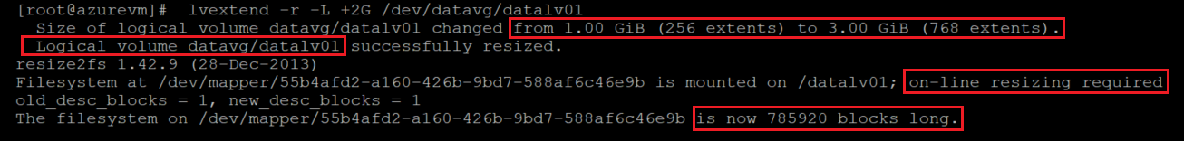 Capture d’écran montrant le code qui augmente la taille du système de fichiers en ligne, avec mise en évidence des résultats.