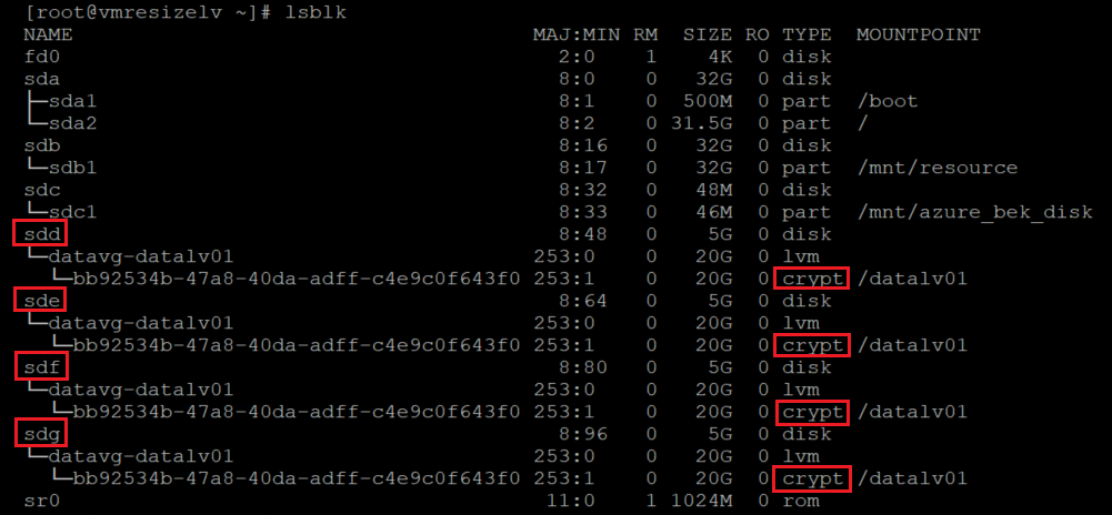 Capture d’écran montrant un autre code qui identifie les disques chiffrés, avec mise en évidence des résultats.