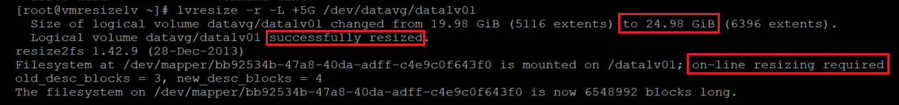 Capture d’écran montrant le code qui redimensionne le volume logique. Les résultats sont mis en surbrillance.