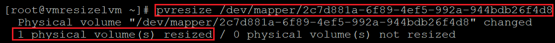 Capture d’écran montrant le code qui redimensionne le volume physique, avec mise en évidence des résultats.