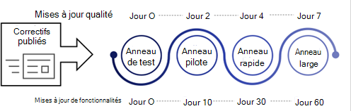 Anneau 3, Anneau large.