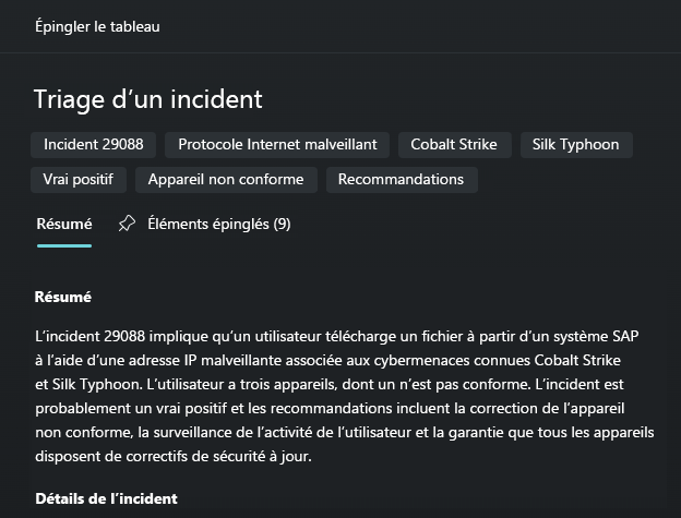 Capture d’écran montrant le résumé de la session partagée et les éléments épinglés.