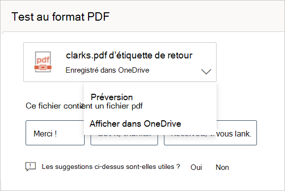 Capture d’écran d’un aperçu PDF non bloqué.