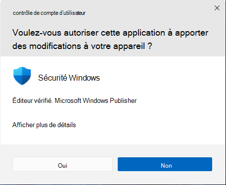 Capture d’écran d’une invite d’écran demandant l’autorisation d’appliquer.