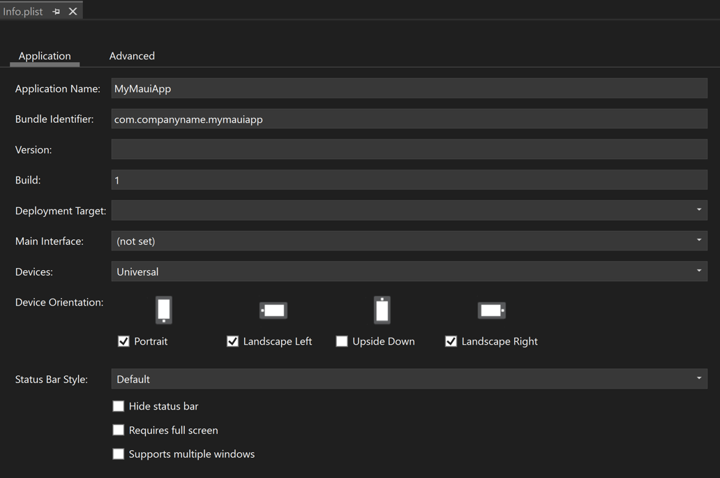 Capture d’écran de l’onglet Application dans l’éditeur Info.plist de Visual Studio.