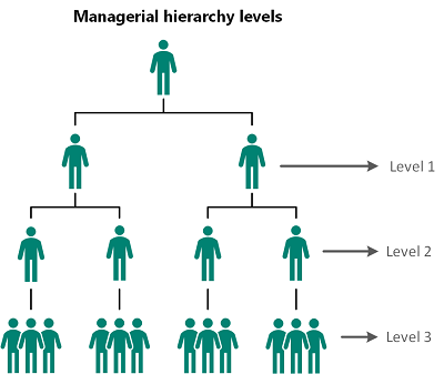 Comprendre les niveaux de hiérarchie de gestion