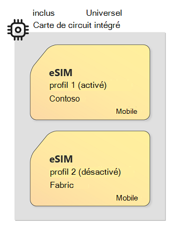 Image de la technologie eUICC et eSIM montrant un exemple de circuit carte avec plusieurs profils eSIM