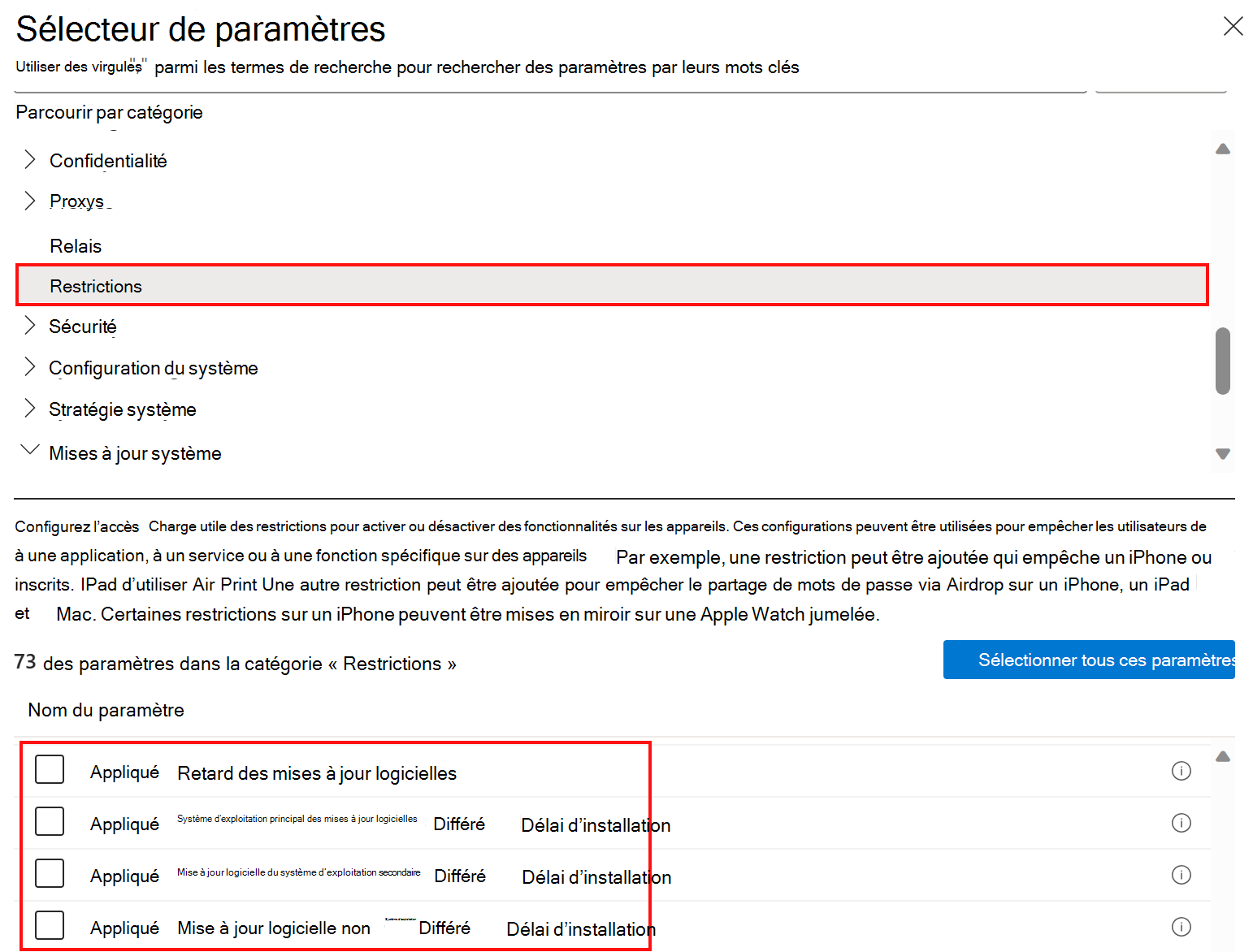 Capture d’écran montrant les paramètres de stratégie de restrictions de catalogue pour retarder ou différer les mises à jour logicielles dans Microsoft Intune.