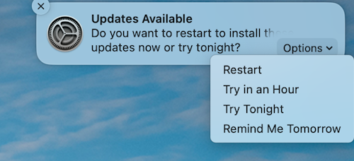 Exemple de notification indiquant qu’une mise à jour est disponible sur un appareil MacOS Apple.