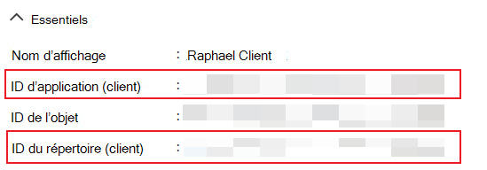 Capture d’écran montrant les champs pour le client et l’ID de champ mis en évidence.