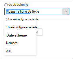 Capture d’écran de la partie Paramètres avancés du panneau Nouvel extracteur d’entité montrant l’option Type de colonne.