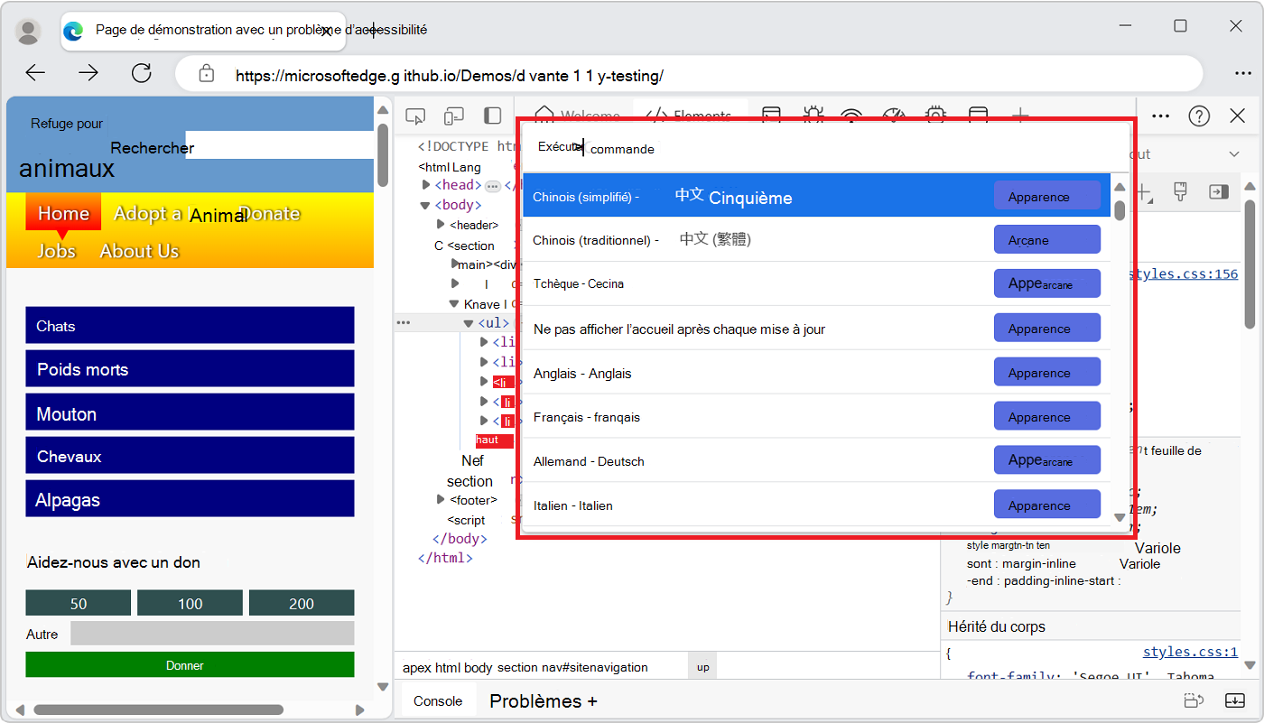 Menu Commande dans DevTools