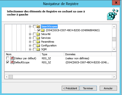 Navigateur du Registre avec DefaultScope sélectionné.