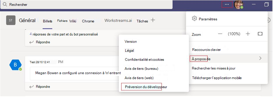 Capture d’écran de la section composer un message montrant l’option Plus, l’option À propos de et l’aperçu développeur sous l’option À propos de mis en surbrillance en rouge.