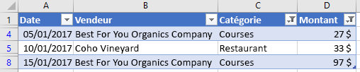 Données de tableau filtrées dans Excel.