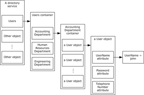 Example of directory organization