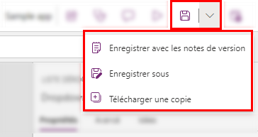 Capture d’écran montrant où se trouvent les options d’enregistrement.