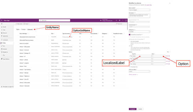 Schéma de table OptionsetMetadata et GlobalOptionsetMetadata.