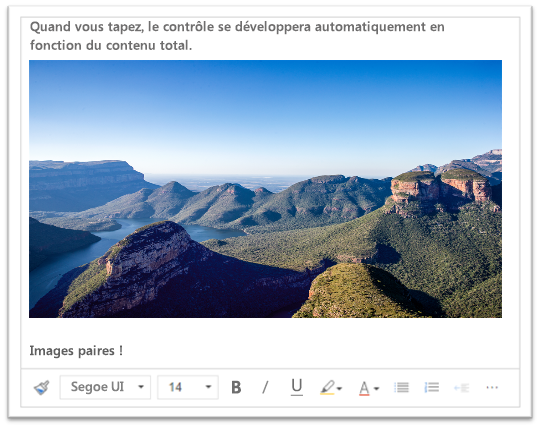 Capture d’écran illustrant que la saisie dans la zone de texte enrichi ou le collage d’une image l’agrandit pour l’ajuster au contenu.