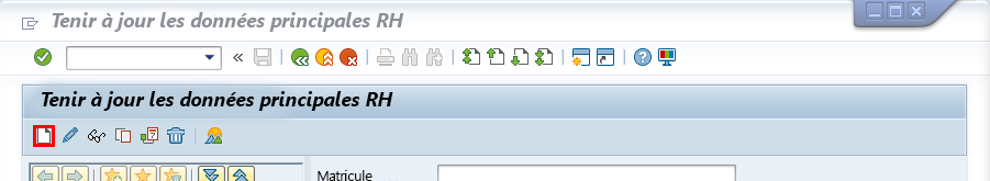 Capture d’écran de la fenêtre Maintenir les données de base des RH de l’application SAP Easy Access. Le bouton de l’icône Document est sélectionné.