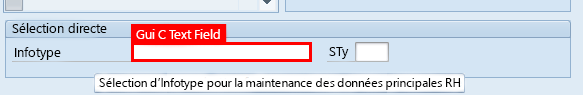 Capture d’écran de la fenêtre Maintenir les données de base des RH de l’application SAP Easy Access dans la zone Sélection directe de l’écran, avec le champ Infotype sélectionné.