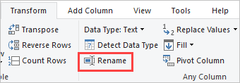 Capture d’écran montrant l’option Renommer sélectionnée dans le ruban.