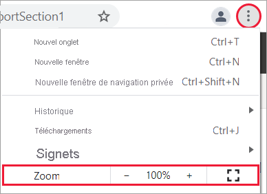 Capture d’écran montrant les contrôles de zoom du navigateur.