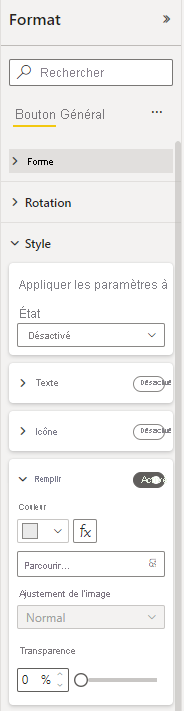 Capture d’écran montrant un texte de bouton désactivé mis en forme.