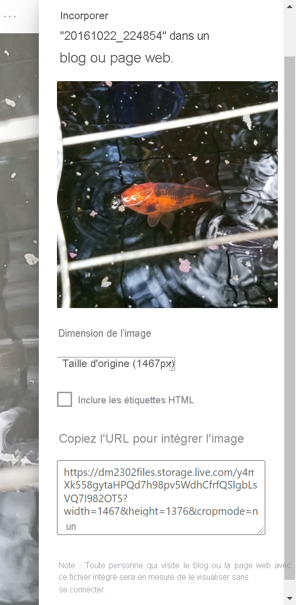 Capture d’écran de l’URL de l’image incorporée générée.