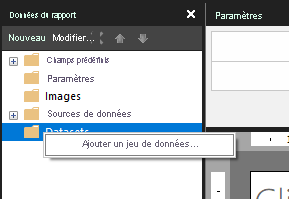 Capture d’écran montrant l’option Ajouter un dataset.
