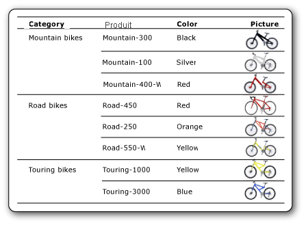 Capture d’écran montrant un tableau avec des photos de vélos liées aux données.