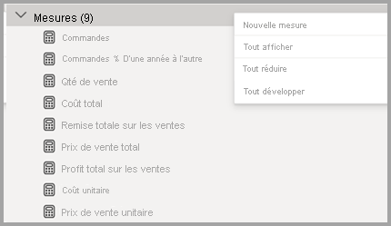 Capture d’écran de la zone Mesures dans l’Explorateur de modèles.