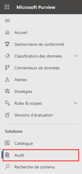 Dans le menu, sélectionnez Audit.