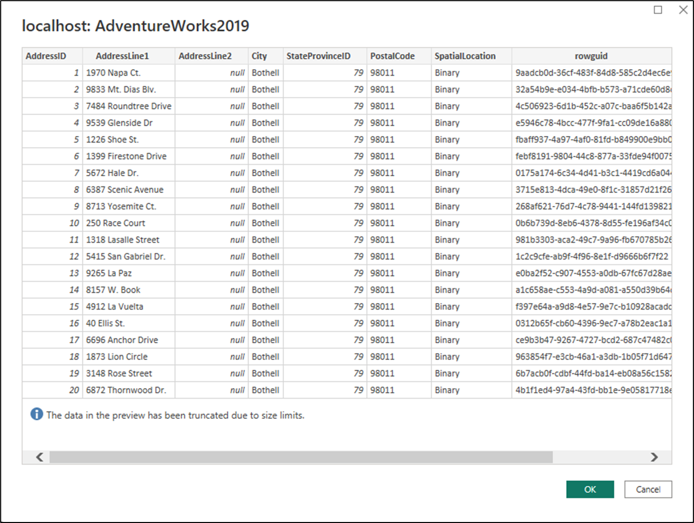 Screenshot of the dialog with a table preview of the executed native query.