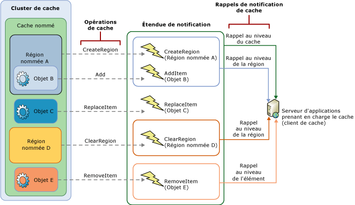 Étendue de notification du cache